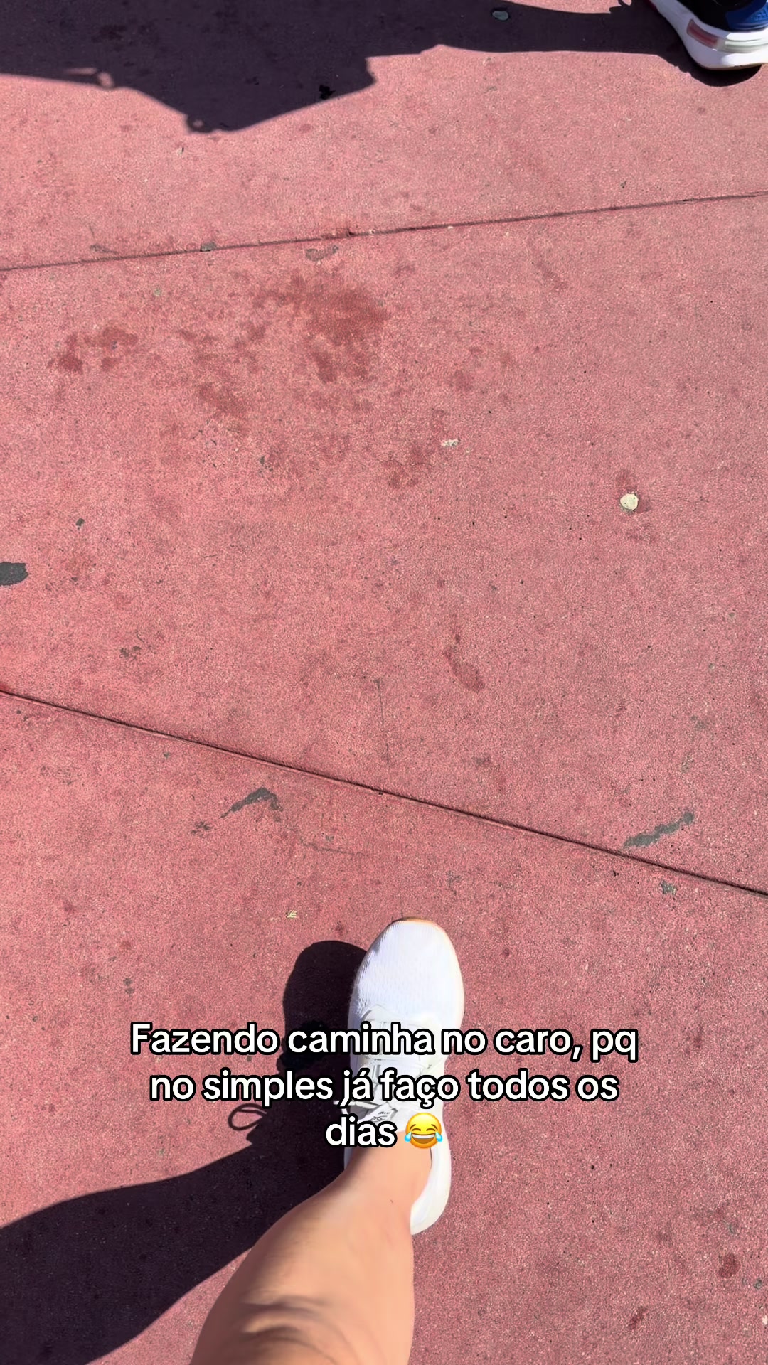 @Camila Petzold