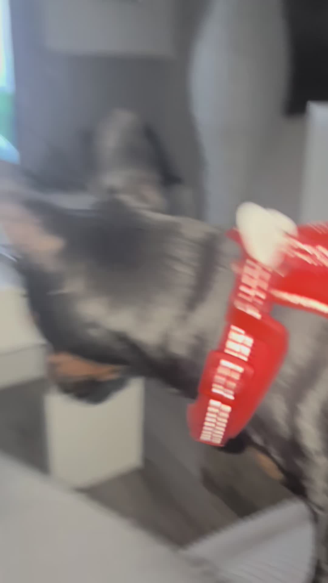 @Gos