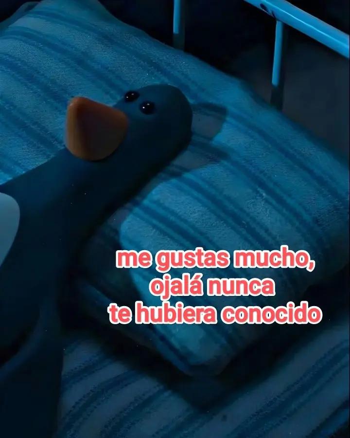 @F Ezequiel