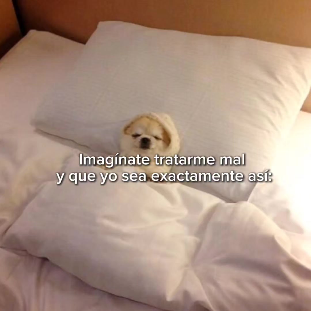 @goodvibessxd