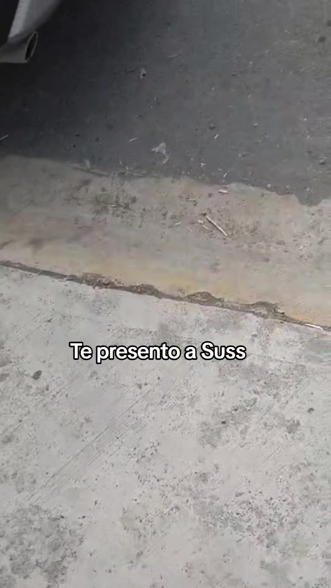 @UVE