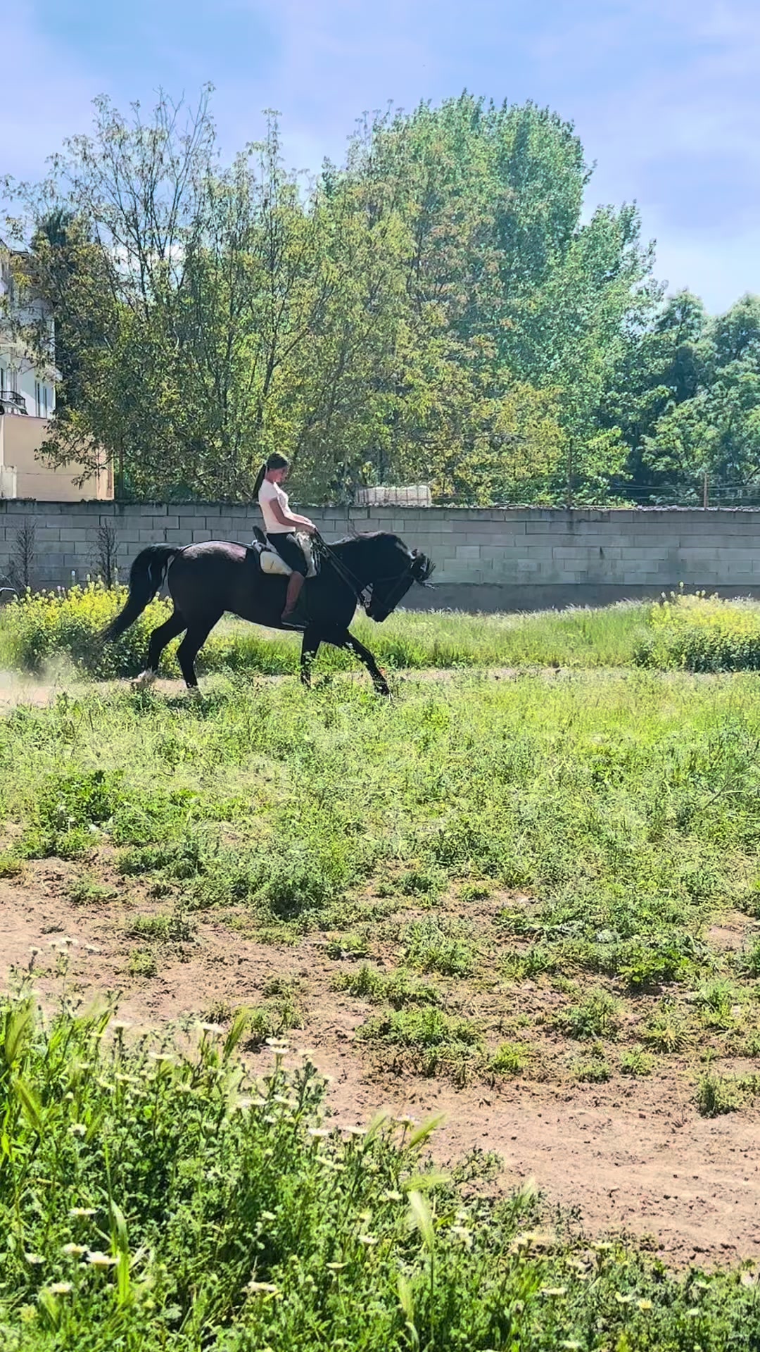 @Sandra Molina🐎🇪🇸