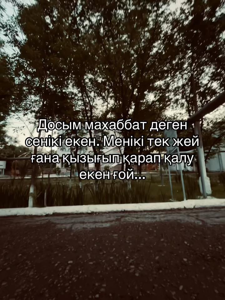 @arslnv.0