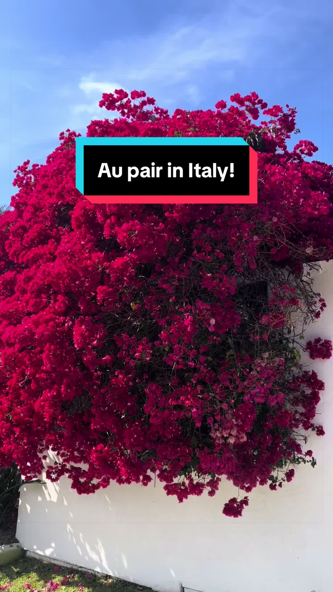 @Rome Abroad | Au Pair Agency