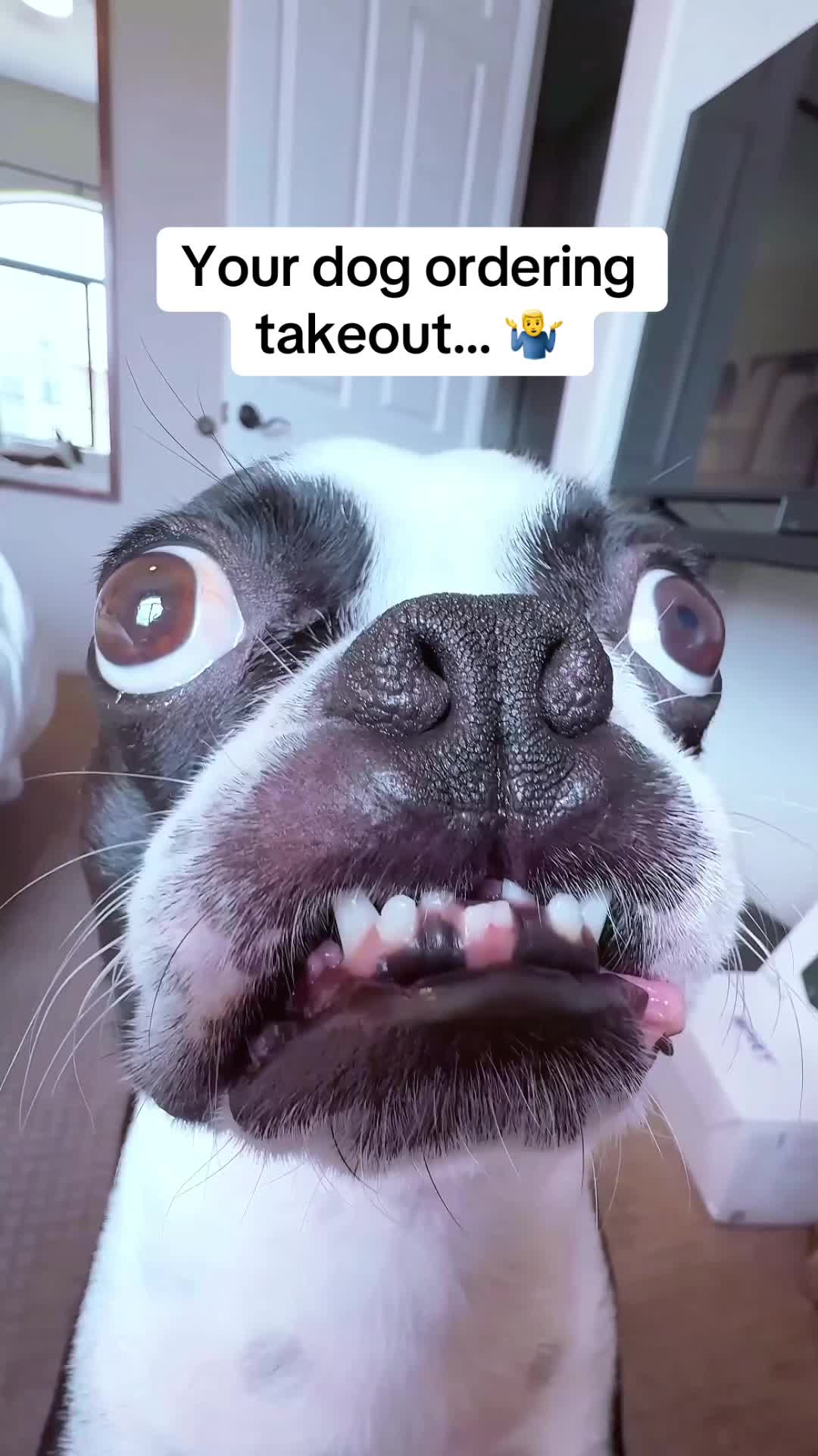@WhenAshMetBowser