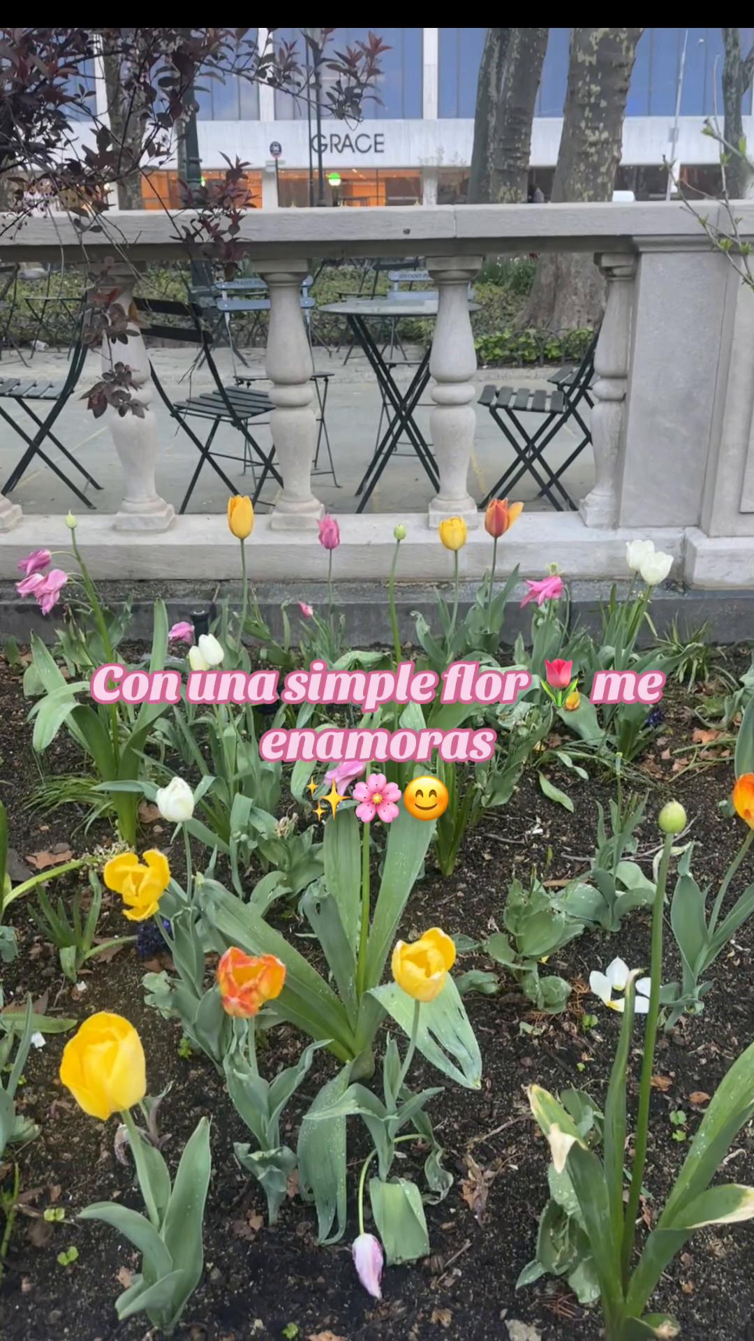 @Paty escobar