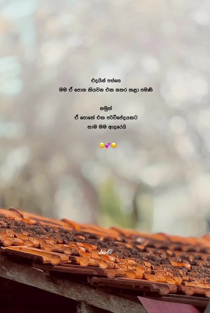 @leo.u09