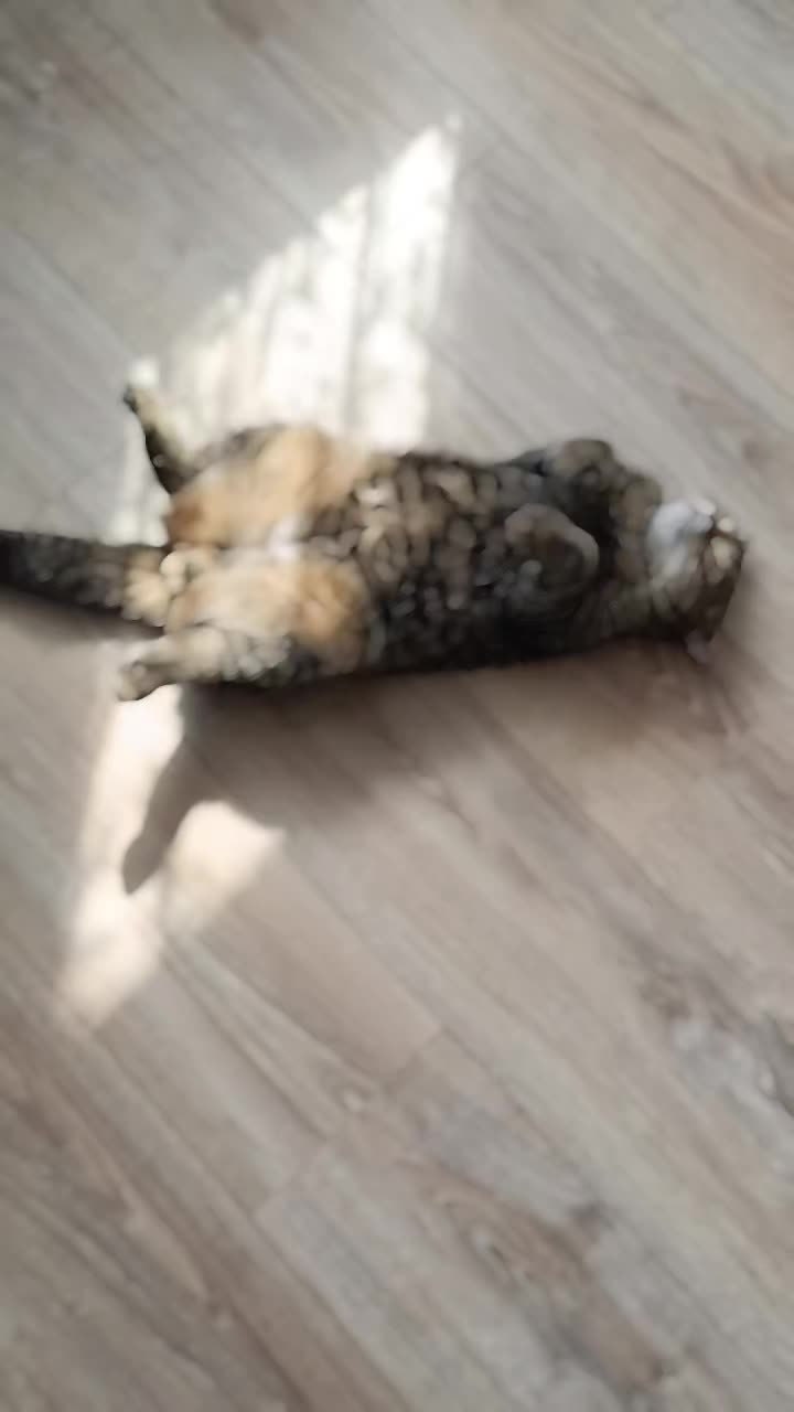 @🤙🇷🇺РОССИЯНОЧКА.🇷🇺🤙