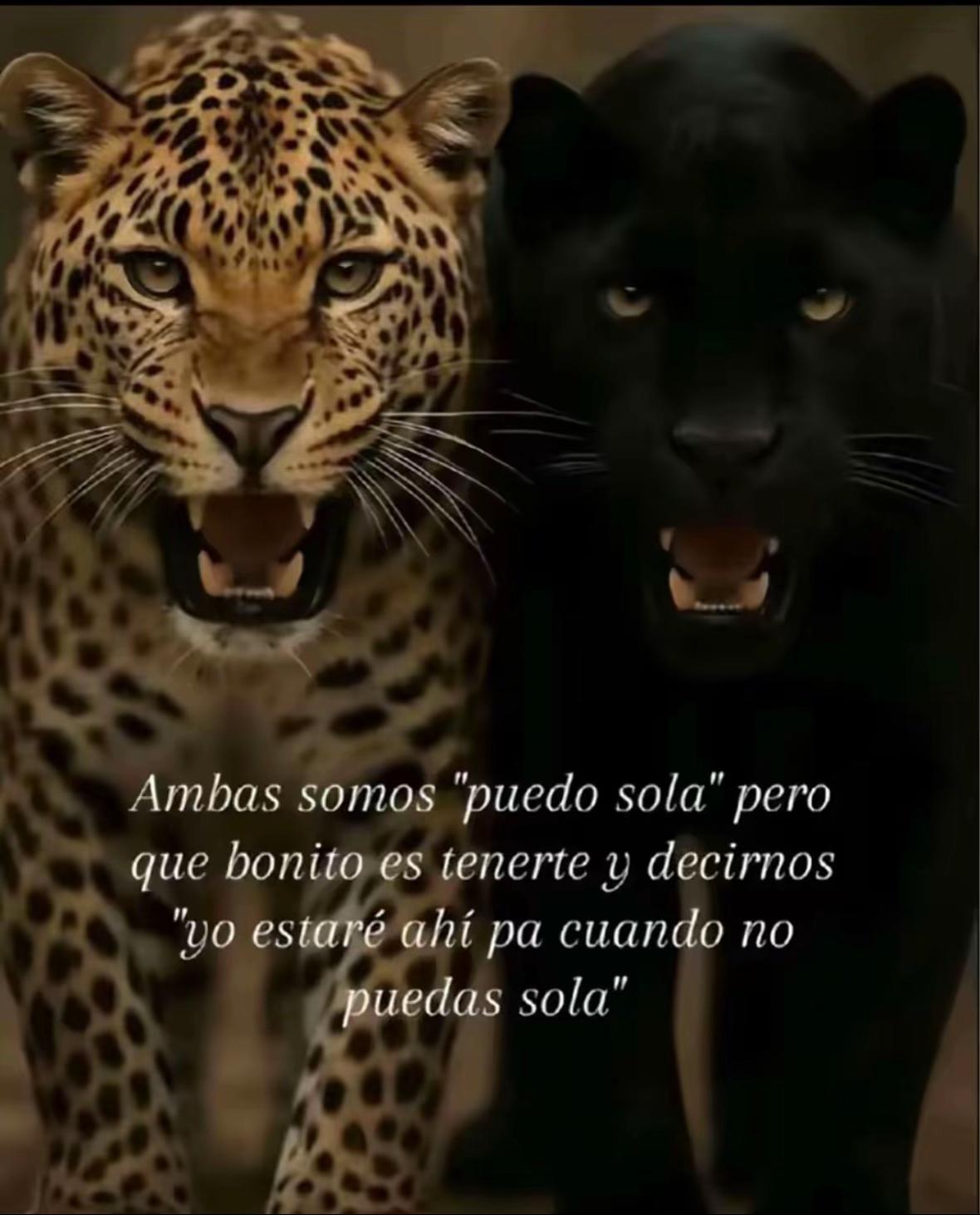 @_damarisyyerai777