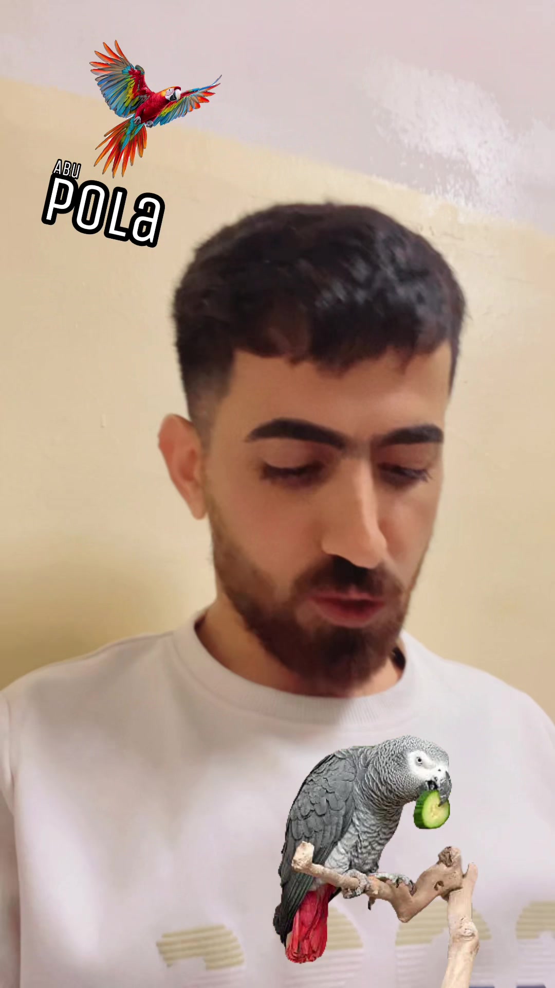 @أبو پؤلا