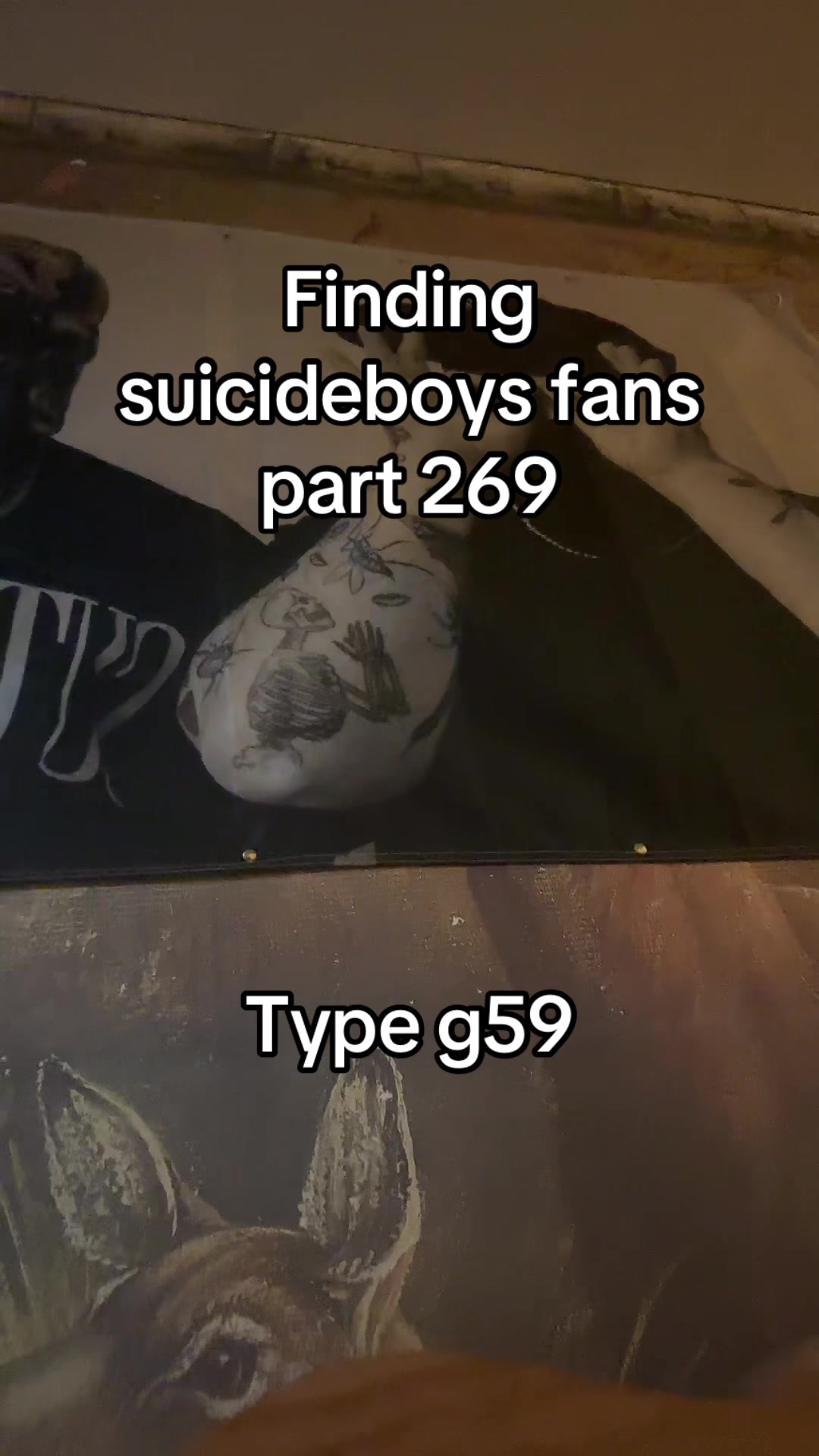 @curlyjoejr2376