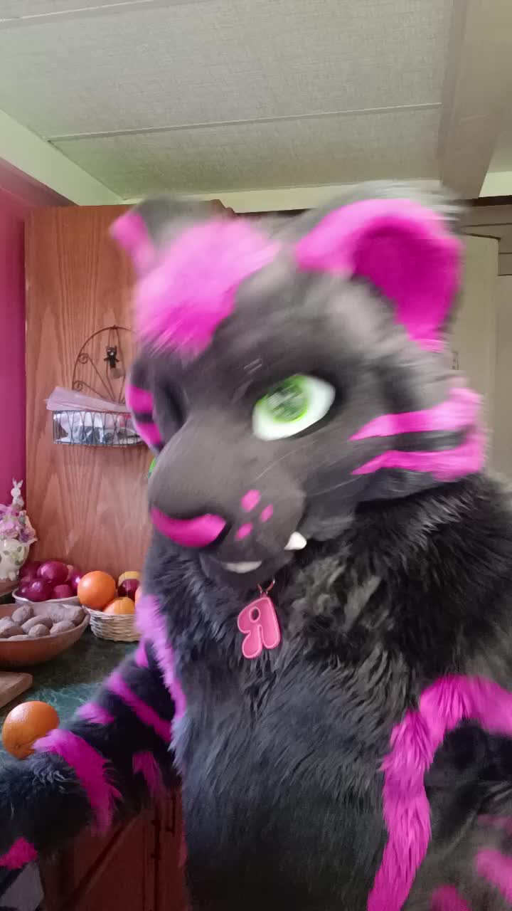 @dingbat  🐾 mew,mew 🐾 🔜 AC26