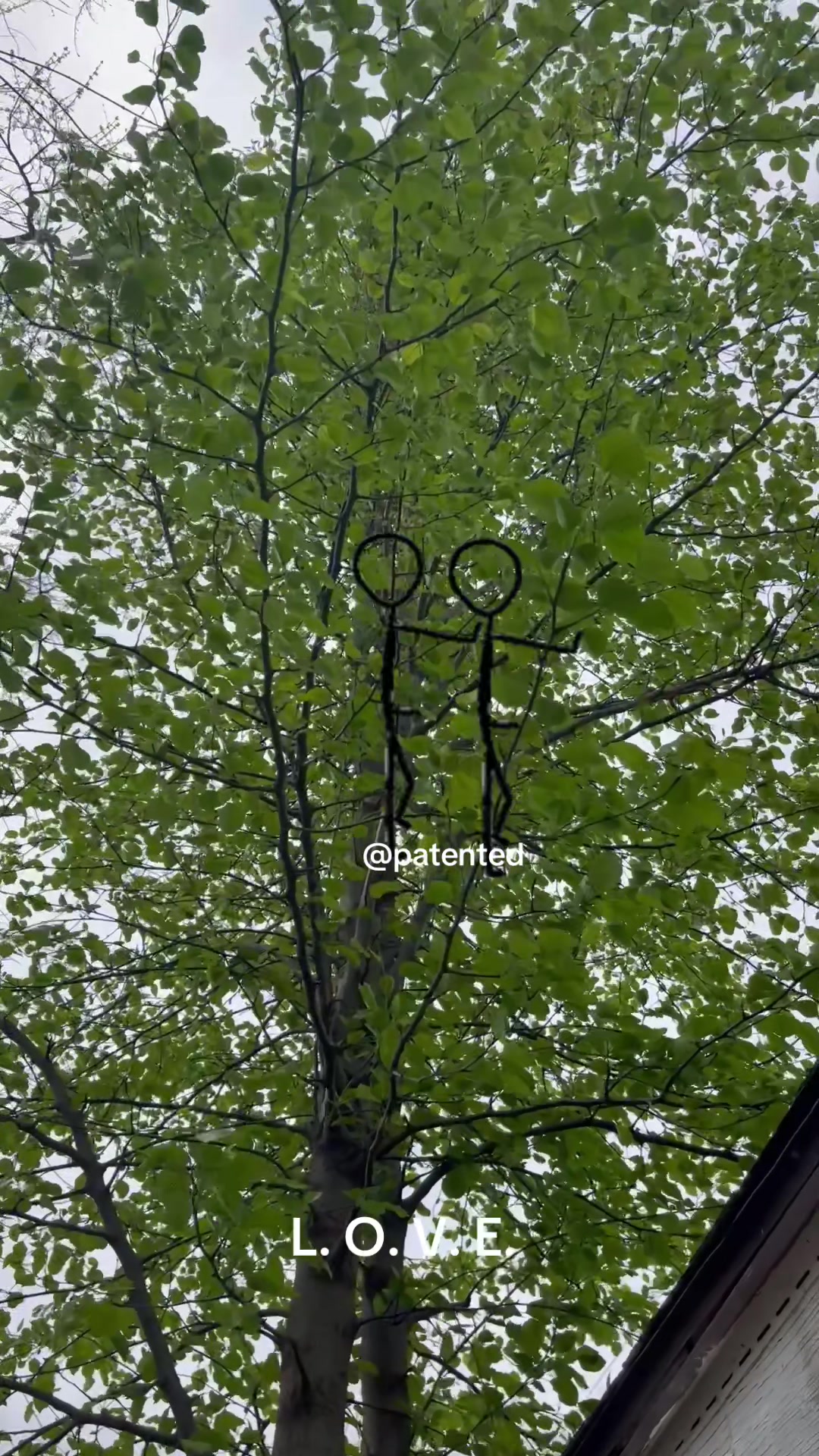 @@patented🪨RockNRoll🪨MEOWSME