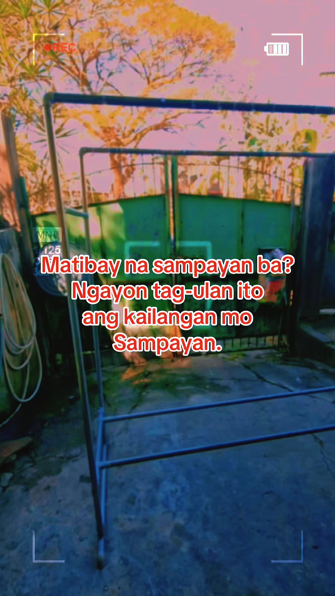 @lhie