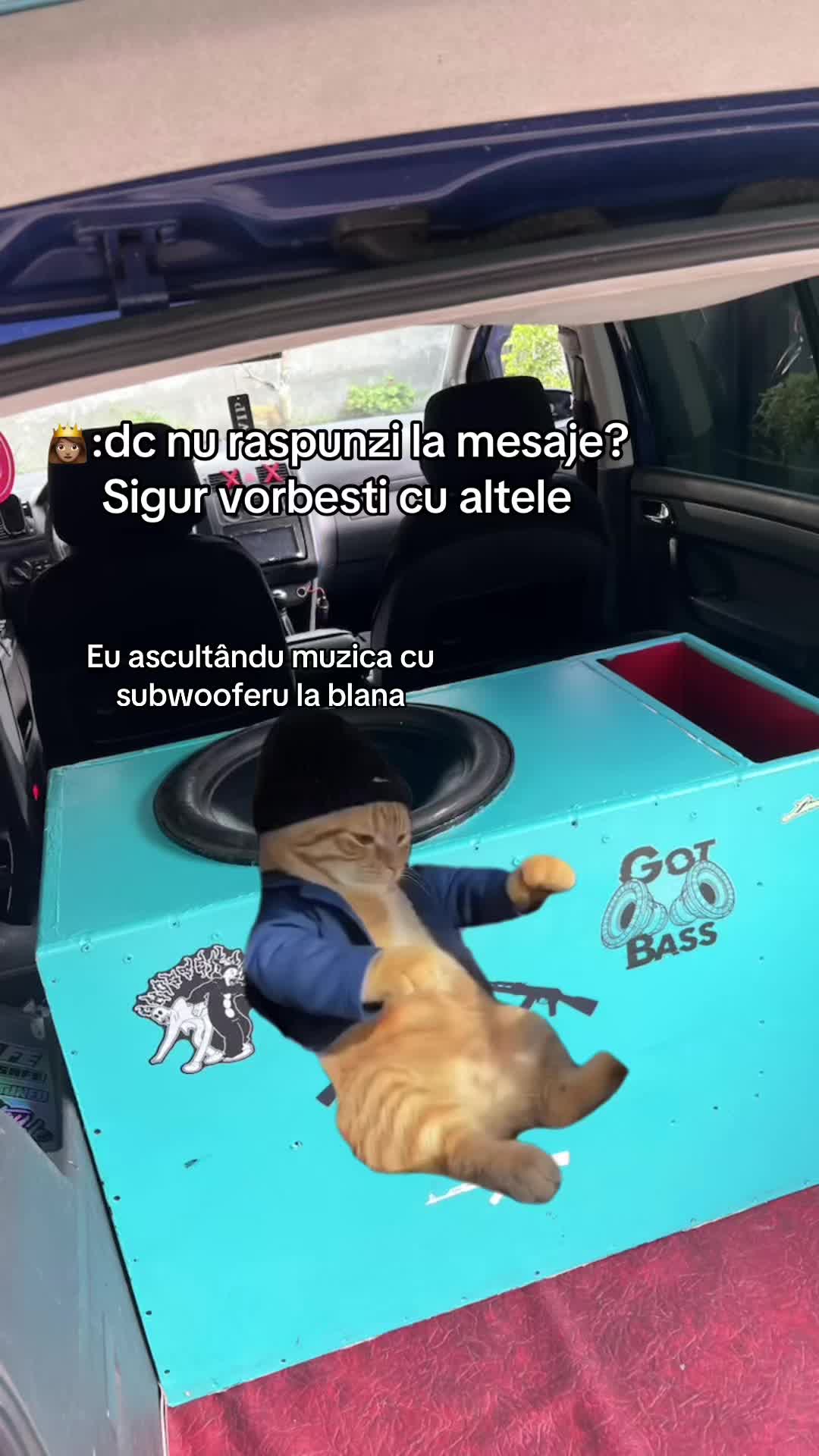 @sebi