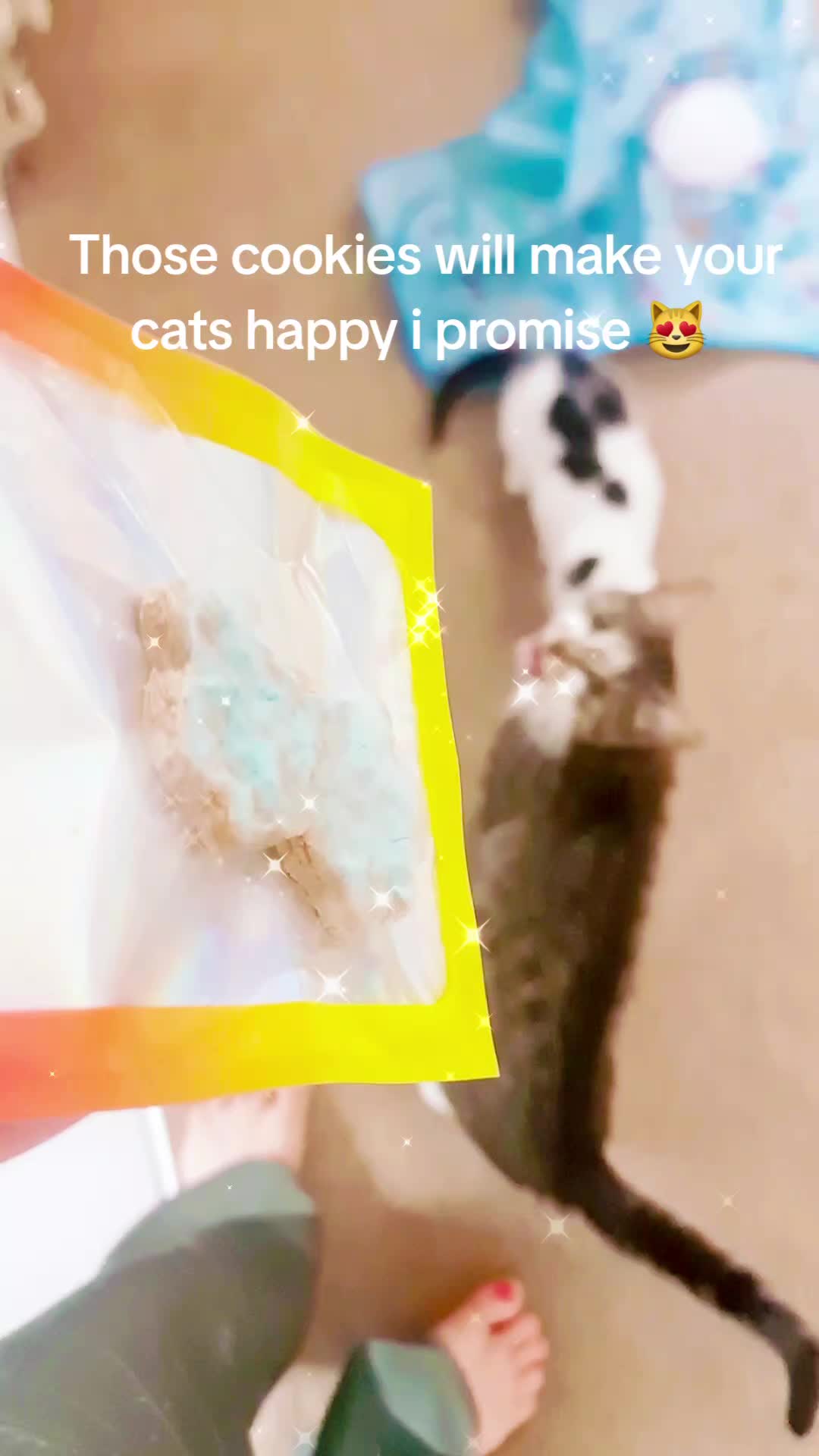 @Wellness for Pet