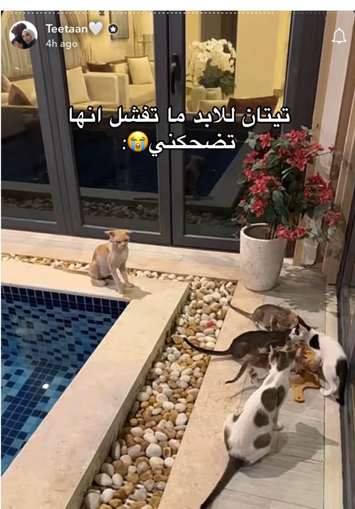 @Meera✨