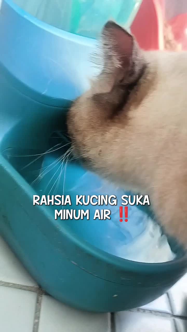 @Norazrena | Racun Tiktok