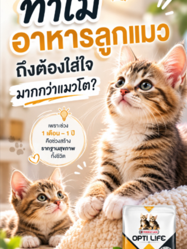 @WelovepetsbyPamornchaiSupply