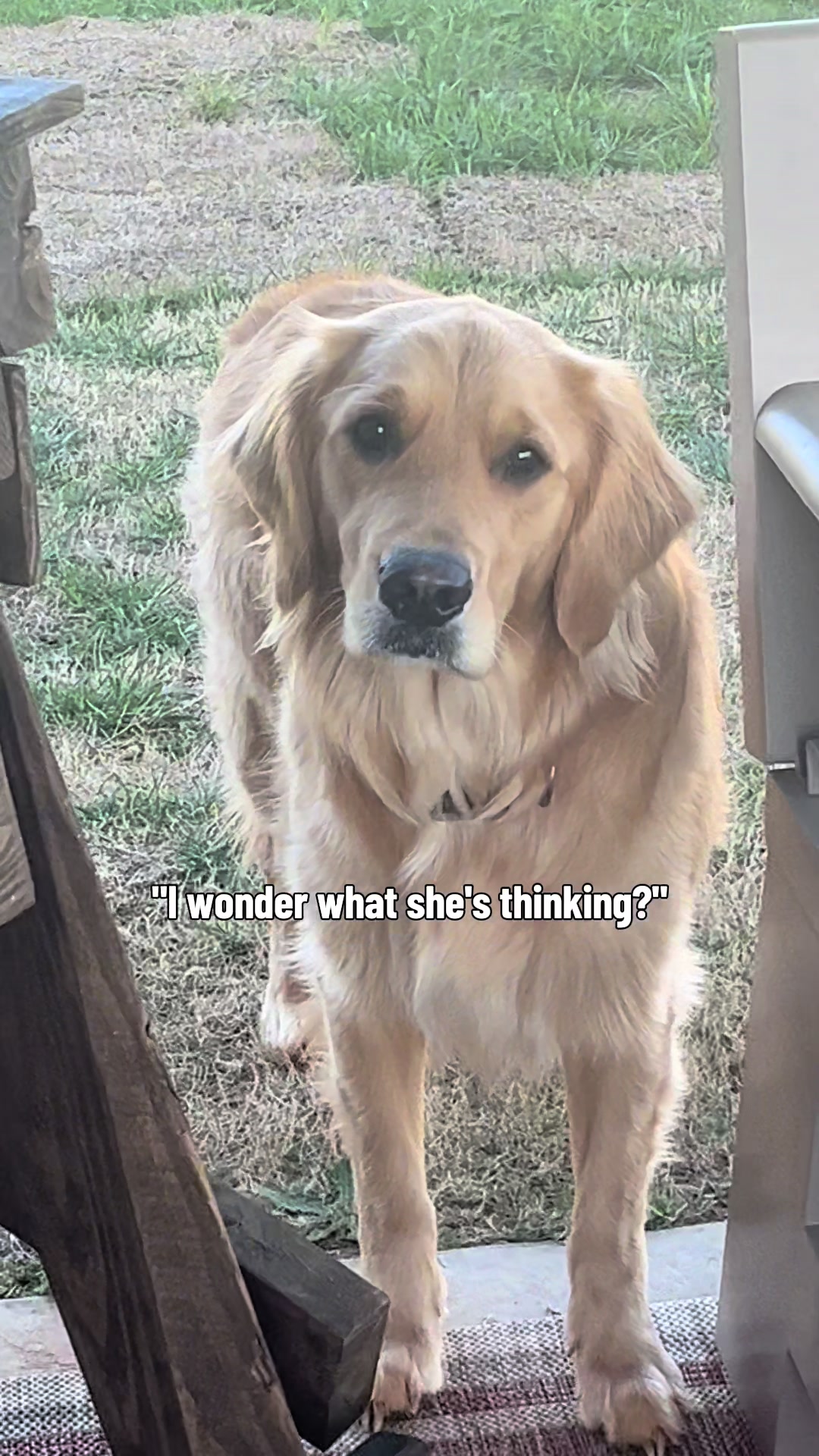 @Winnie the Golden Girly