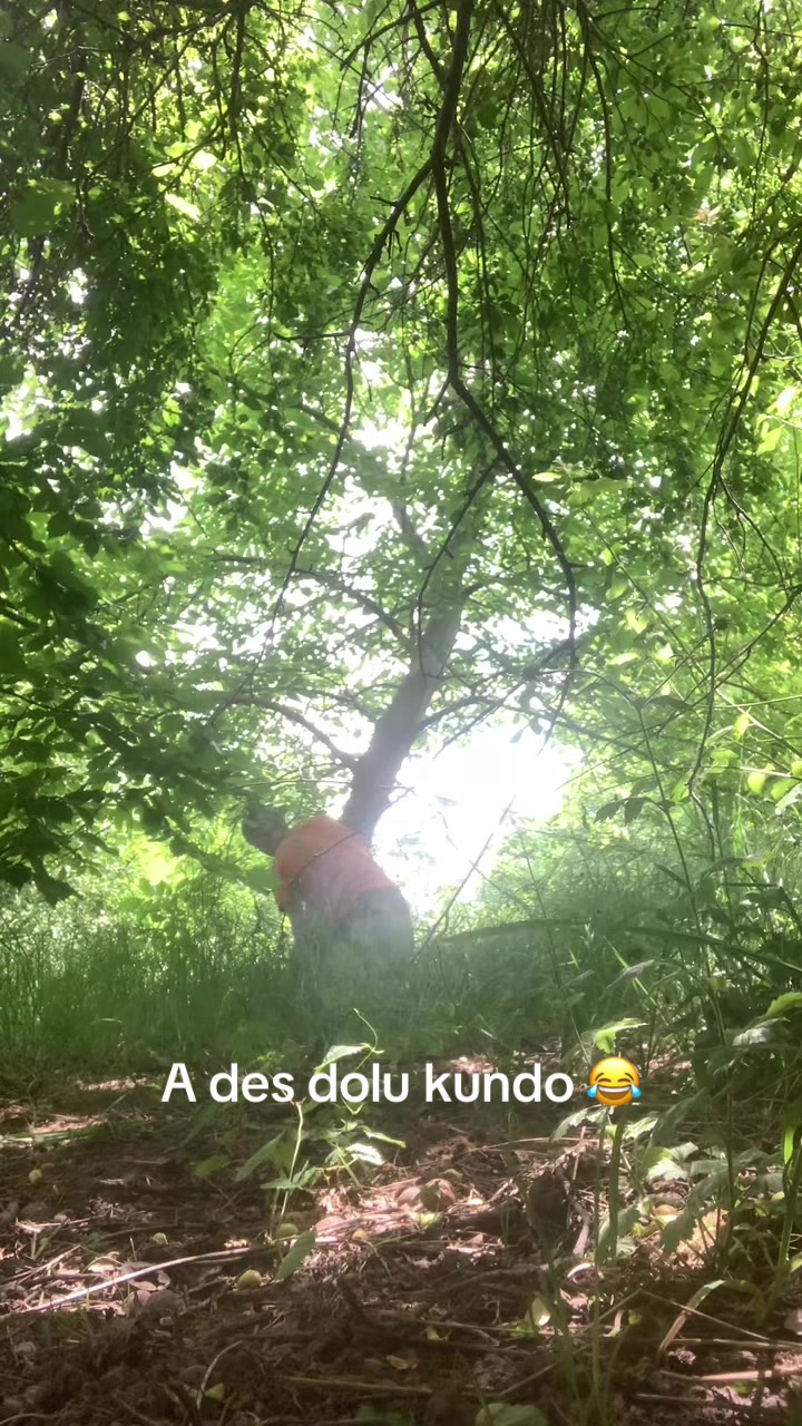 @Dominik Vasil🤔