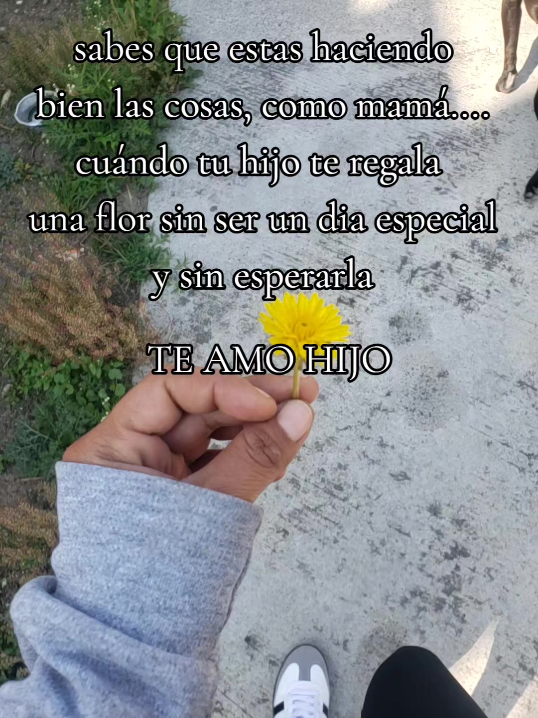 @ROUSSS