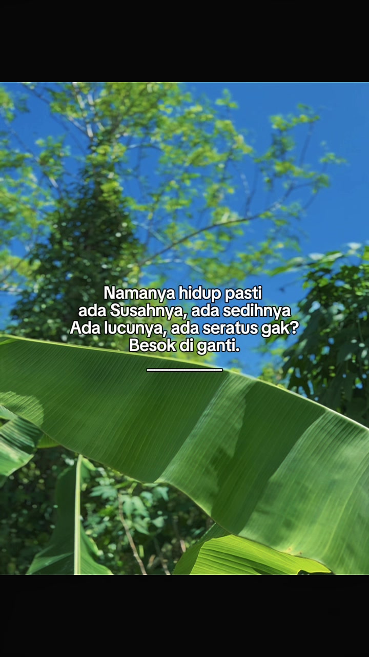 @INTROVERT