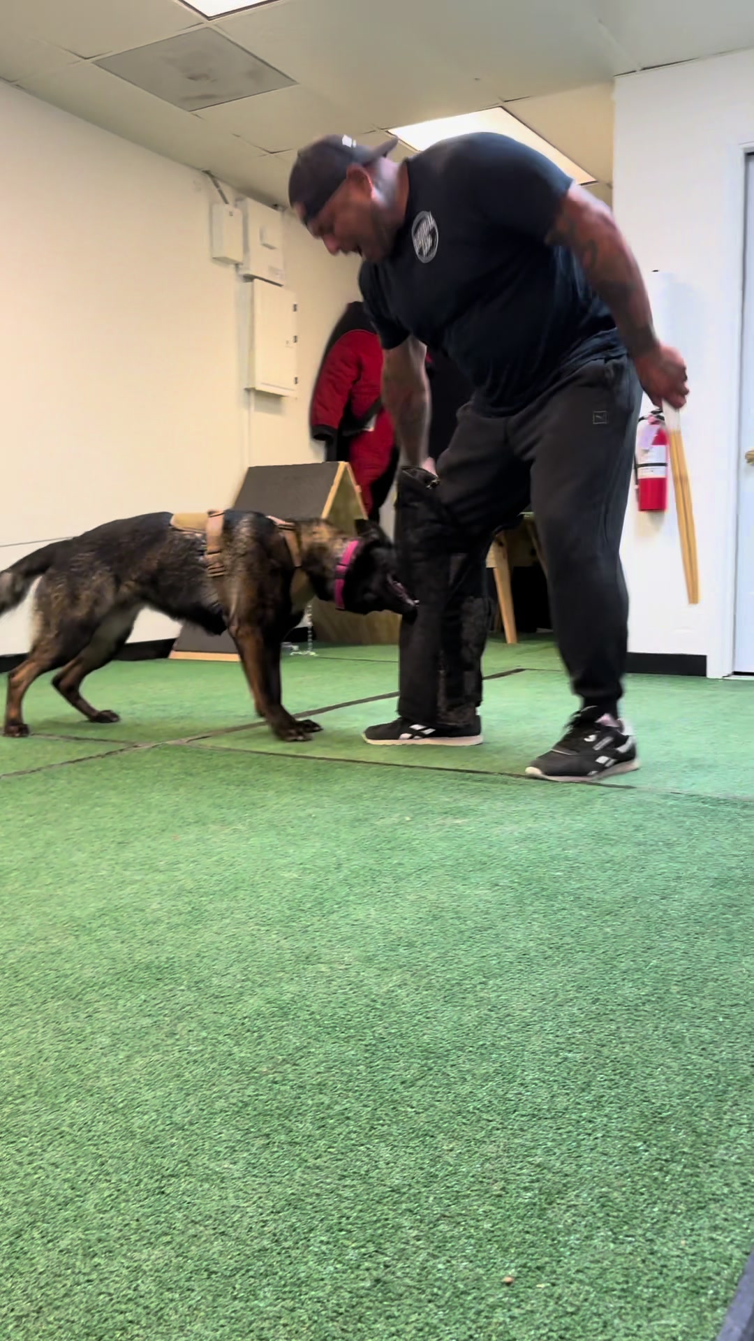 @Tactical K9s Dog Training