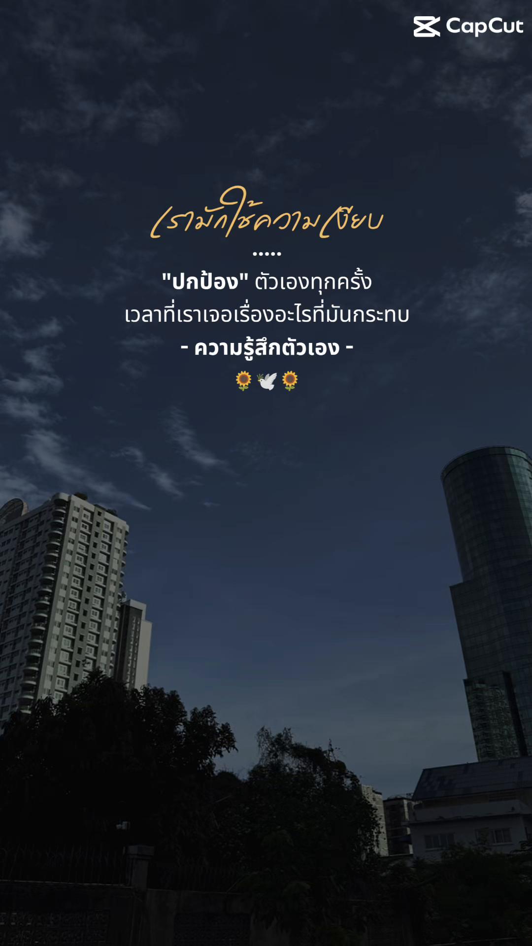 @View.P