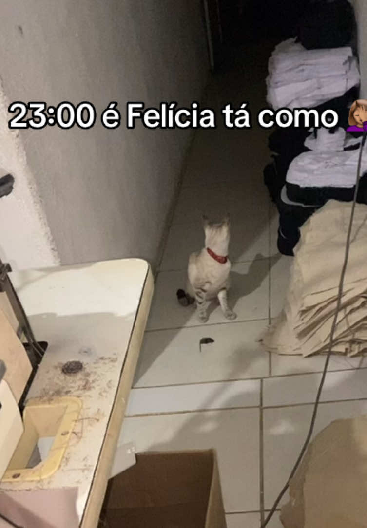 @🛍️ Amanda | Achadinhos