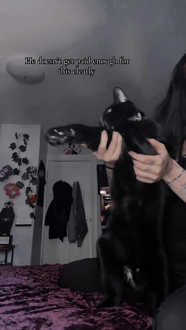 @xxbecxxax
