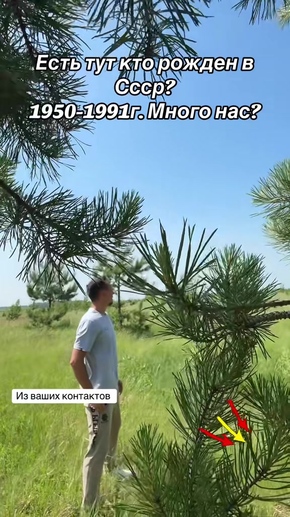 @🔥.Р.О.Д.Н.О.Й-2🔥