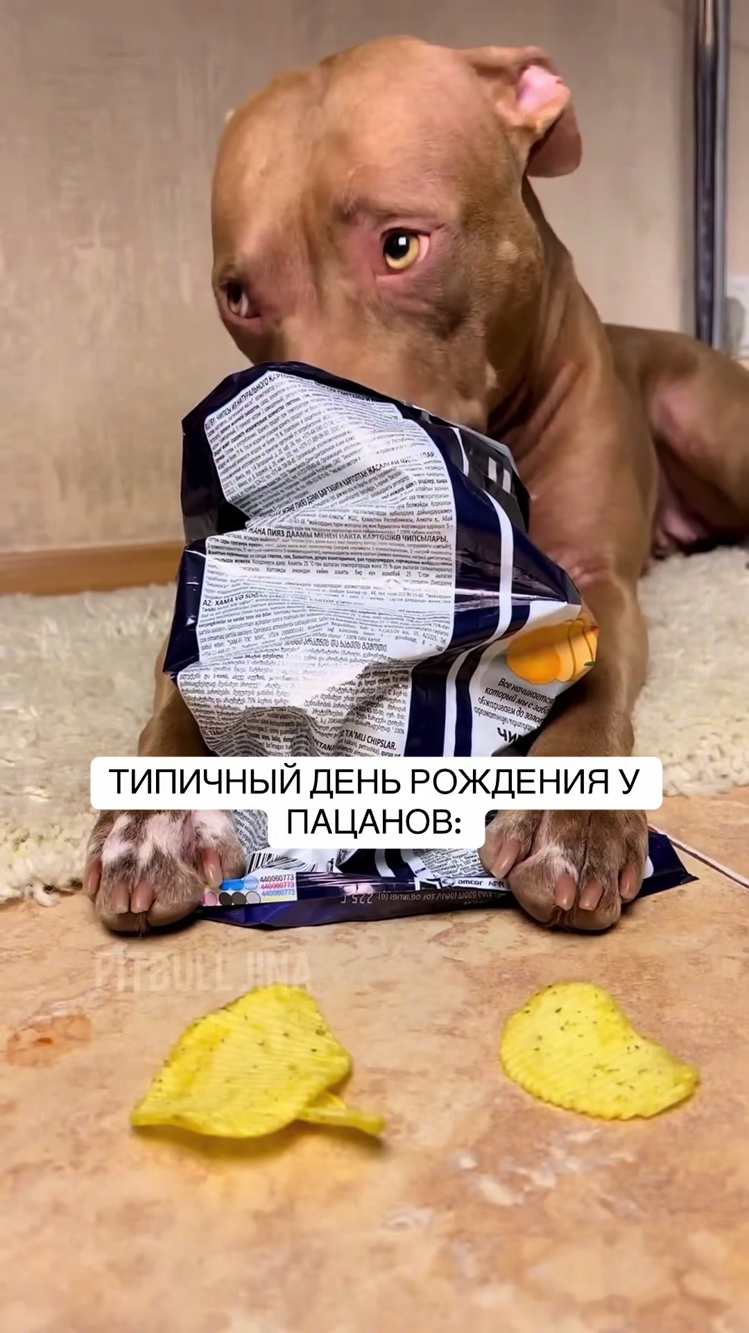 @ADRONRAY