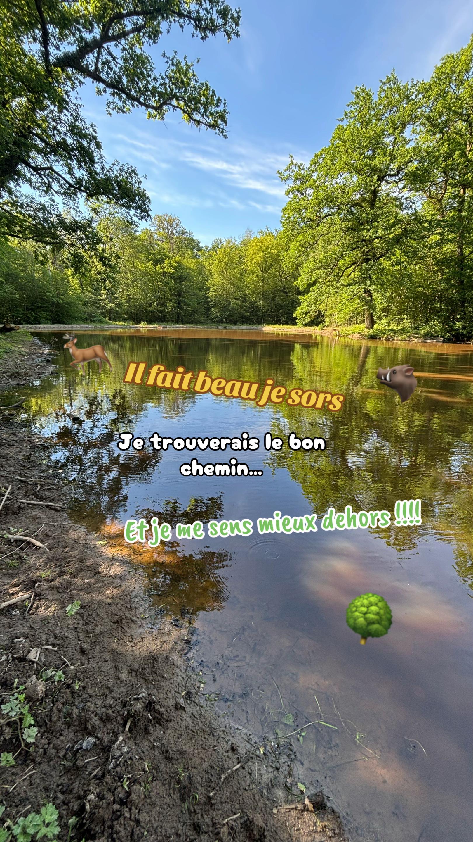 @mathis_51250