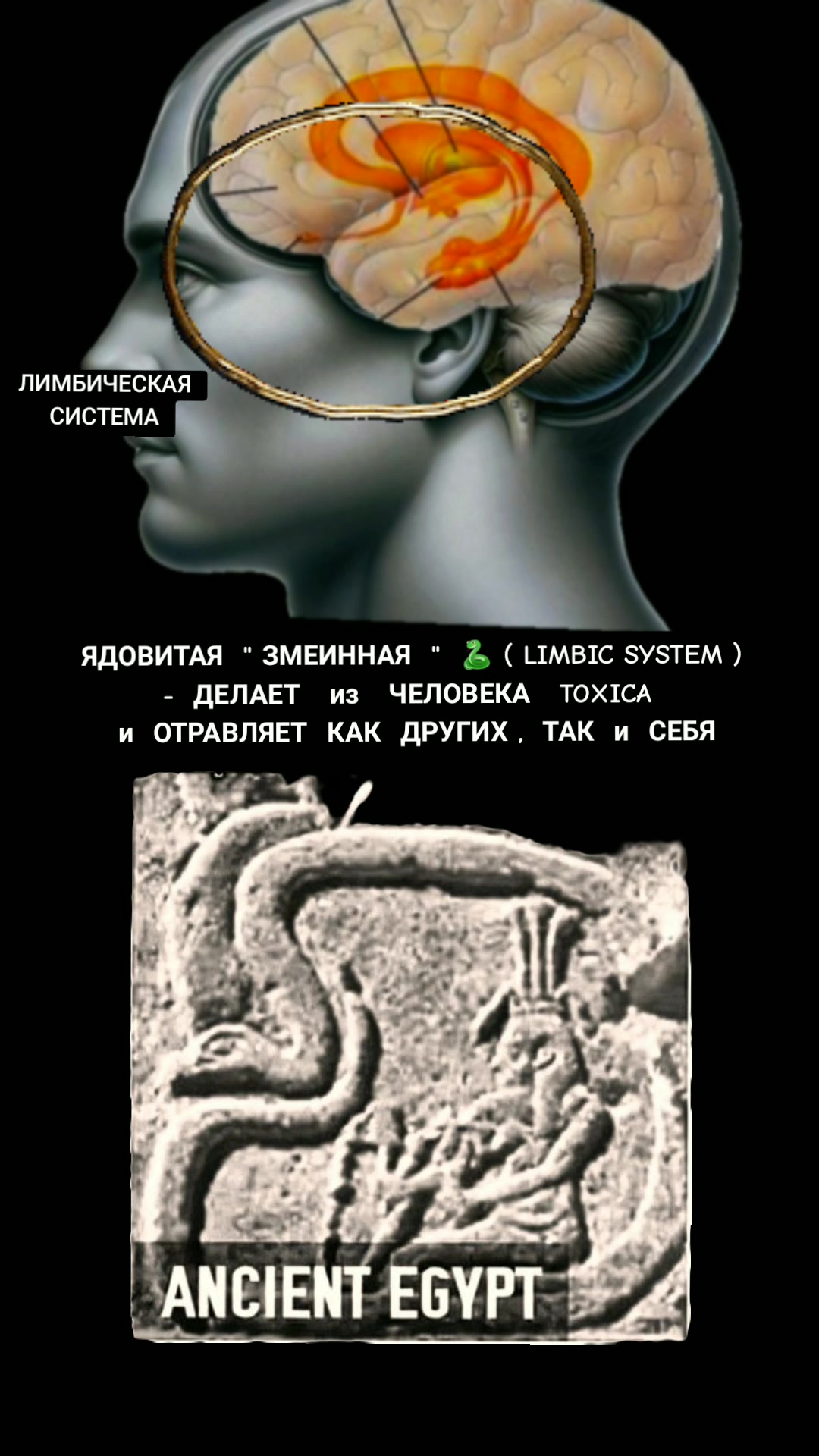 @ОЛЬГА ВЕЛЖИЧ