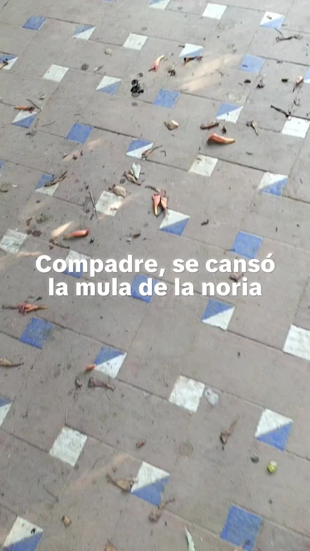 @juanma