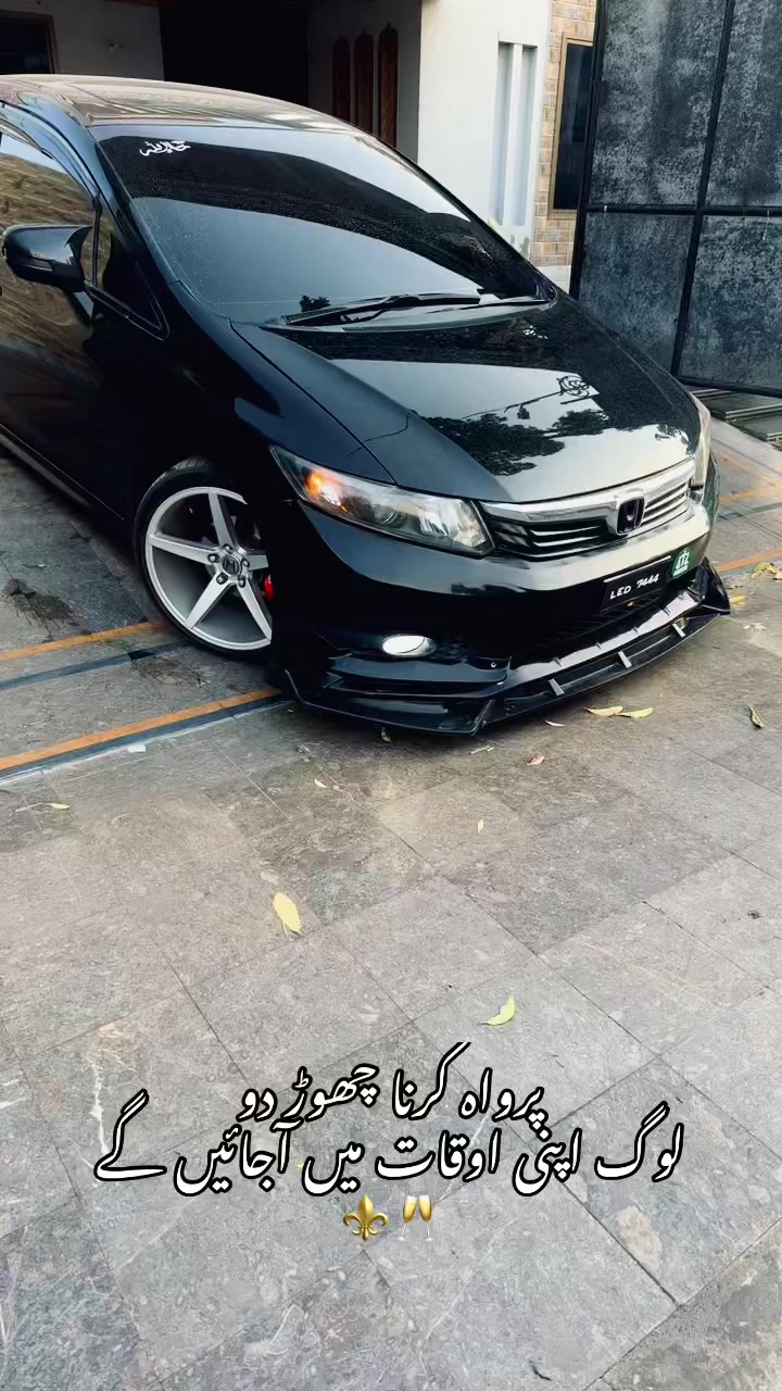 @asadshykh0