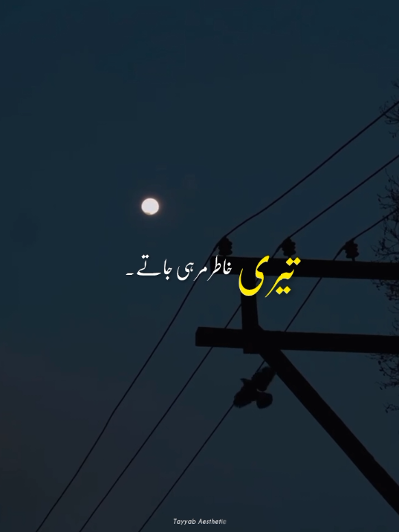 @𝙏 𝘼 𝙔 𝙔 𝘼 𝘽 🍁&bull;