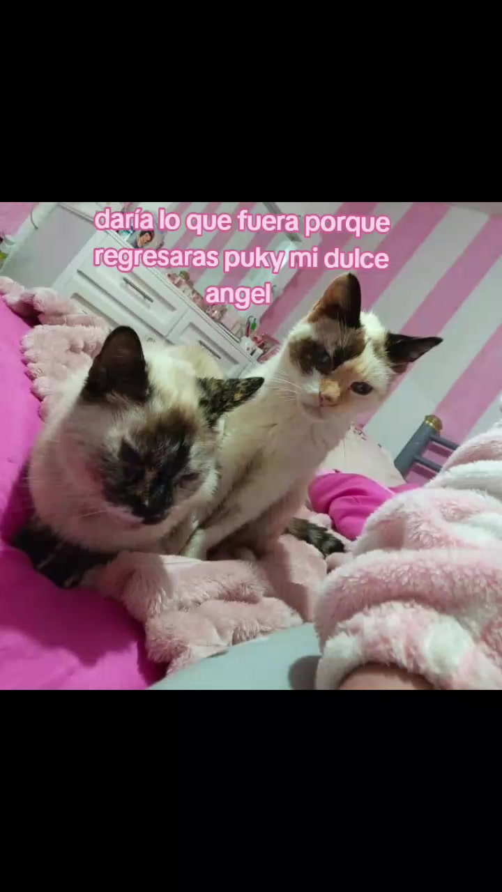 @Kim Lule