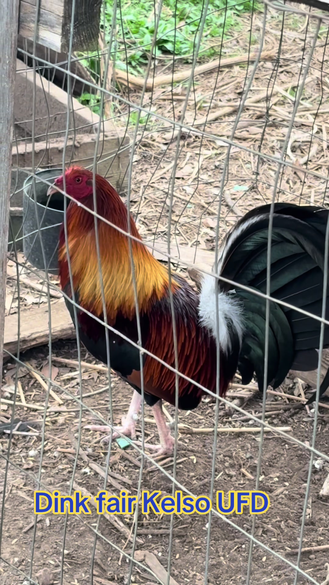 @Bryan Gamefarm