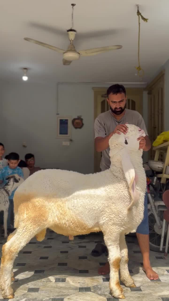 @Saad Rashid