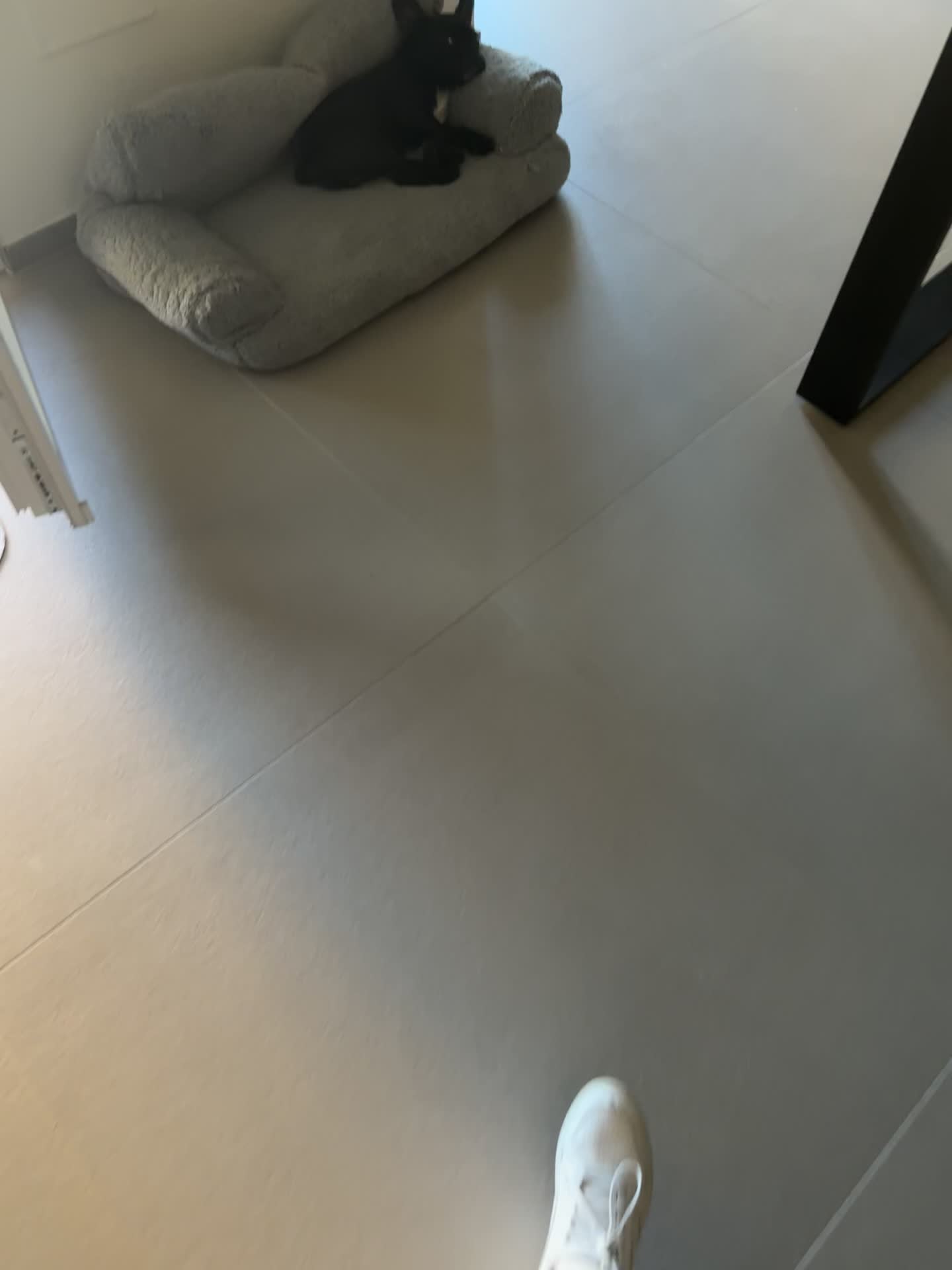 @Erica Panzera