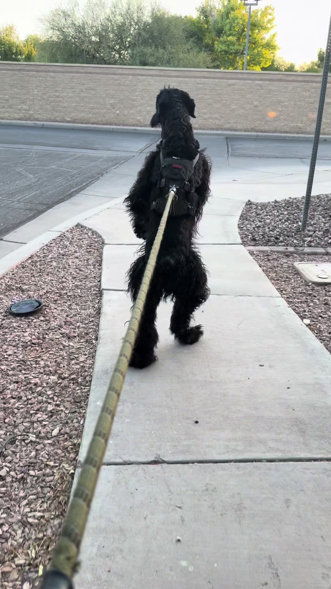 @Fiona Walks