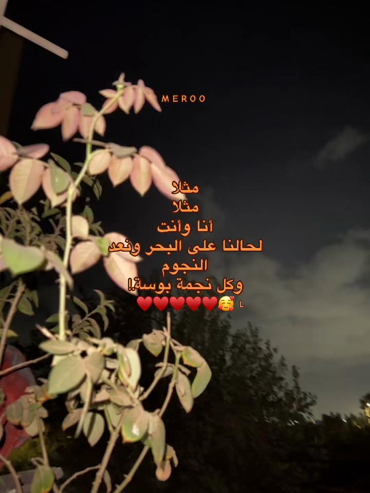 @༒آمِــيـــّر _𓆩ᗩᗰIᖇ𓆪🤎
