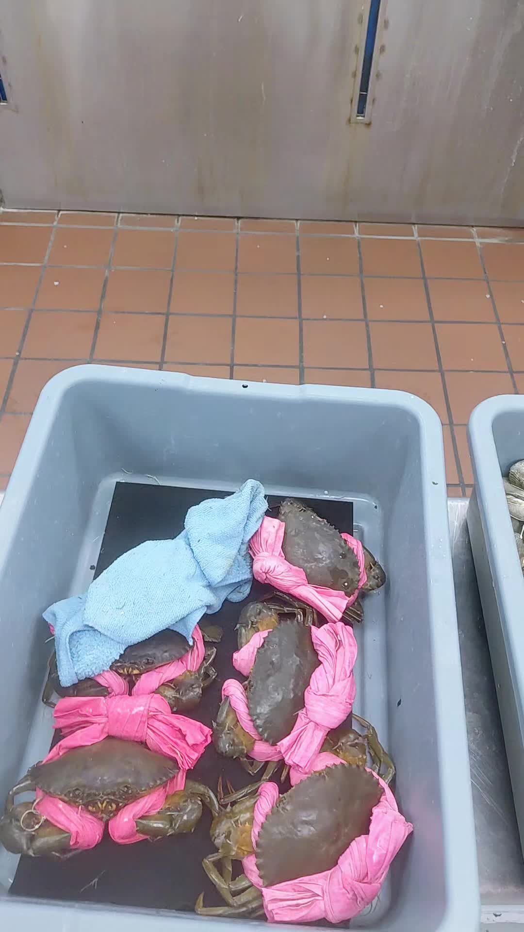 @Kendrick Kennels