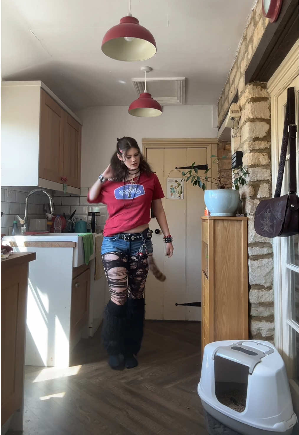 @orla 🦇