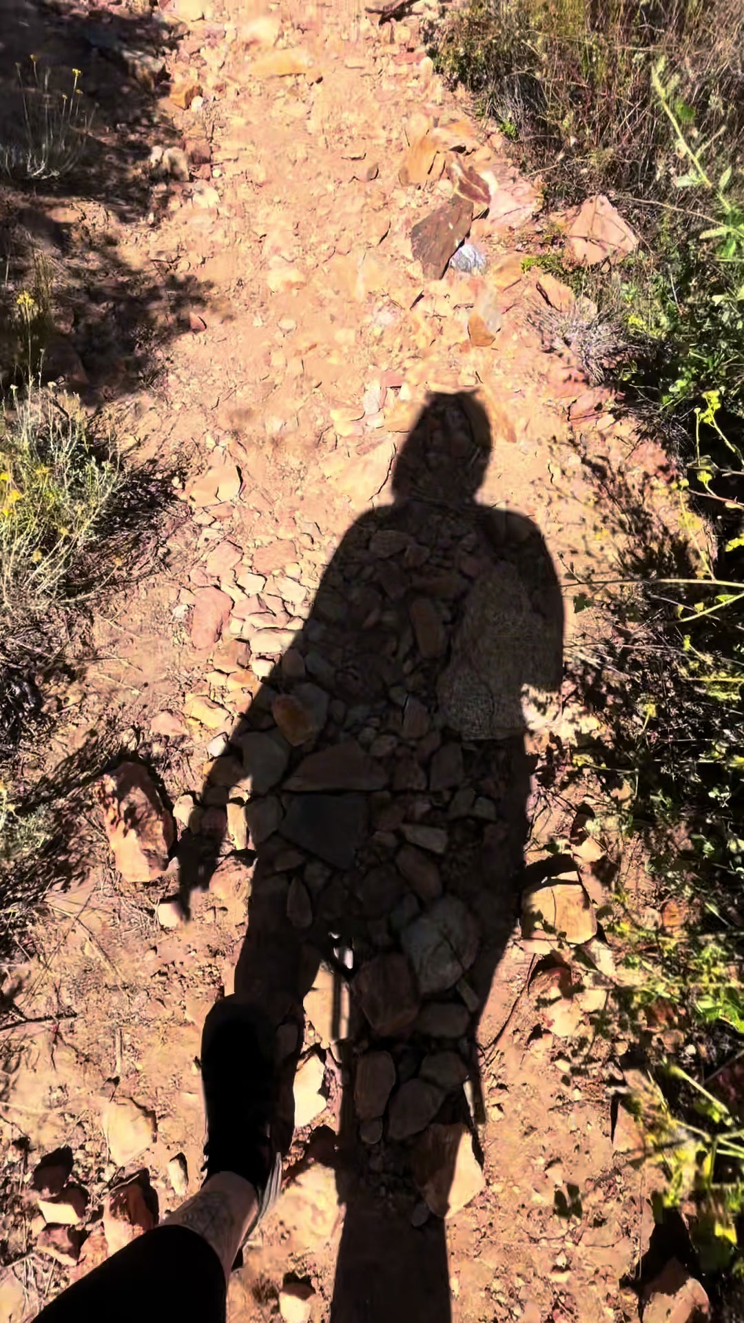 @Cris⛰️🌲