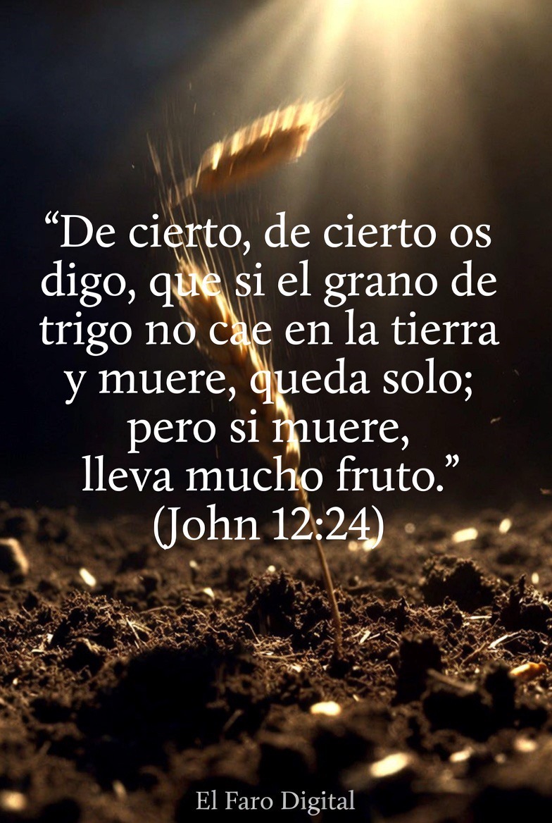 @ElFaroDigital