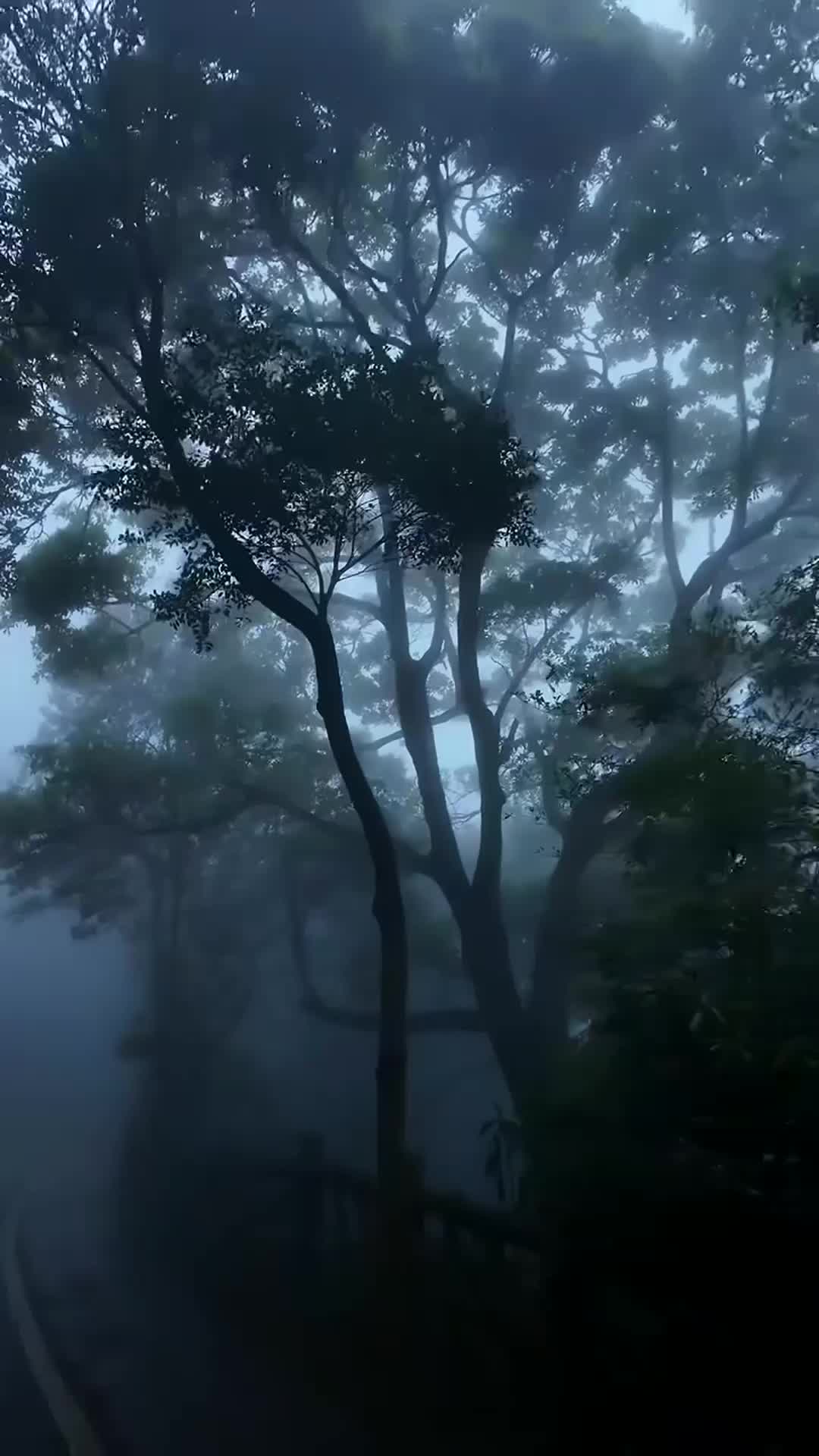 @hefxtom24433464