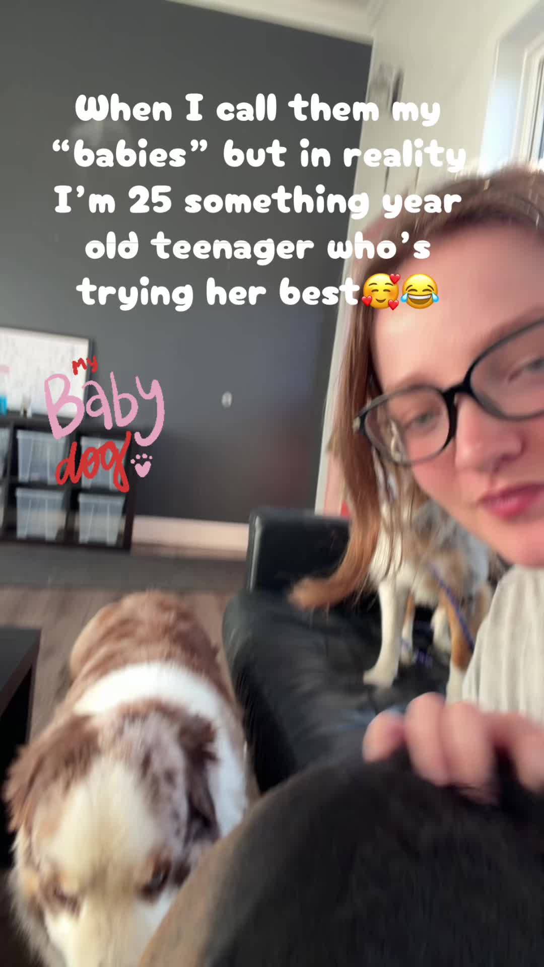 @Squish & Charlie's Dog Daycare
